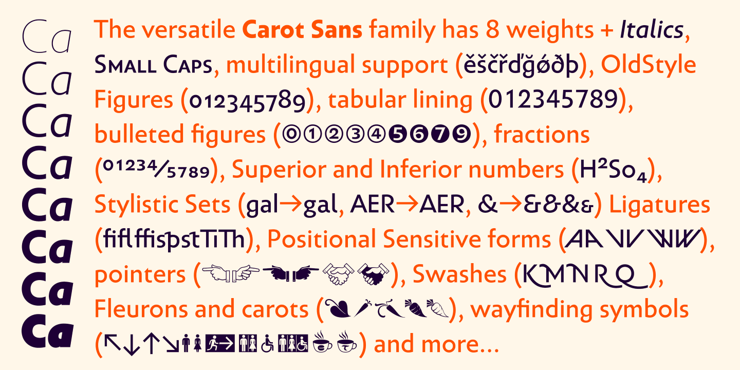 Przykład czcionki Carot Sans Medium Italic